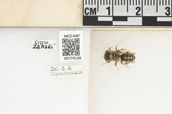 Media type: image;   Entomology 774128 Aspect: Labels